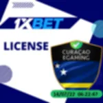 License information