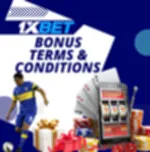 Basic Terms and Conditions of the Bonus